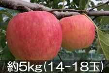 JAO[ Vimh`F 5kg(14-18) 916-30