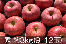JAO[ Tӂ G 3kg(9-12)yz 1117-1212