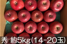 JAO[ Tӂ G 5kg(14-20) 1117-1212