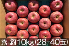 JAO[ Tӂ G 10kg(28-40) 1117-1212