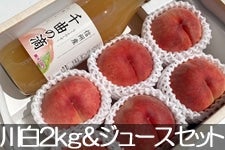 JAO[ 쒆 PX 2kg(5-8)&MBYW[X(1000ml×1{)Zbgyz815-30