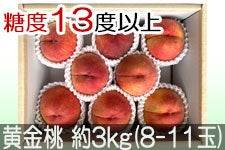 JAO[  PX 3kg(8-11)yz815-30