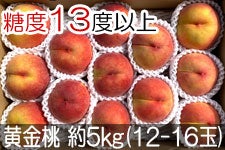 JAO[  PX 5kg(12-16) 815-30