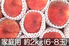 y2025p}CPzJAO[ 쒆 ƒp 2kg(6-8)