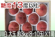 JAO[ 쒆 PX ʖ3kg(8-10)×1yz815-30