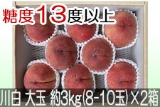 JAO[ 쒆 PX ʖ3kg(8-10)×2yz815-30