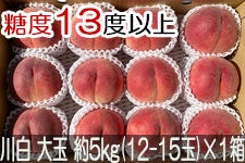 JAO[ 쒆 PX ʖ5kg(12-15)×1 815-30