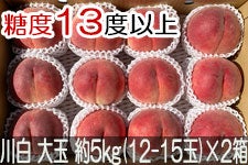 JAO[ 쒆 PX ʖ5kg(12-15)×2 815-30