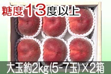 JAO[ PX ʖ2kg(5-7)×2yz722-815