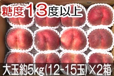 JAO[ PX ʖ5kg(12-15)×2 722-815