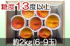 JAO[ XC[gb` PX 2kg(6-9)yz728-815