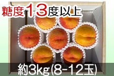 JAO[ XC[gb` PX 3kg(8-12)yz728-815