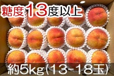 JAO[ XC[gb` PX 5kg(13-18) 728-815