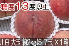 JAO[ 쒆 PX ʖ2kg(5-7)×1yz815-30