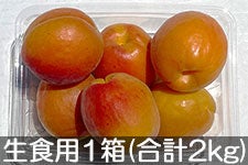 JAO[ Hp񂸃n[Rbg 1(500g×4pbN) 623-74