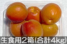 JAO[ Hp񂸃n[Rbg 2(500g×8pbN) 623-74