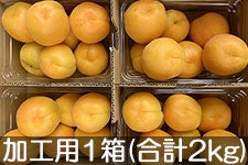 JAO[ Hp 1(500g×4pbN) 616-711