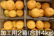 JAO[ Hp 2(500g×8pbN) 617-710