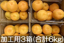 JAO[ Hp 3(500g×12pbN) 617-710