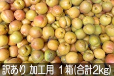 JA�O���[������ �󂠂���H�p���� 1��(��2kg) 6��16��-7��8��������