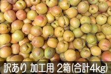 JA�O���[������ �󂠂���H�p���� 2��(��2kg×2��) 6��16��-7��8��������