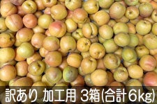 JA�O���[������ �󂠂���H�p���� 3��(��2kg×3��) 6��16��-7��8��������