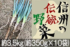 JAO[ Y {˂ 3.5kg(350g×10)yMB̓`؁z 1120-1212