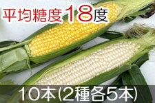 JAグリーン長野 スイートコーン 10本(2種各5本) 7月1日以降発送