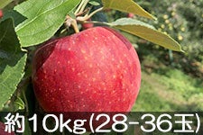 JAO[ Vimbv 10kg(28-36) 818-26
