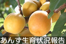 JAO[  󋵁EnEڈ͂NbNIy48XVz