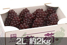 JA{nCh nEXfEFA 2L 2kg