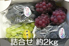 JA{nCh Ԃǂ l 2kg 915ȍ~
