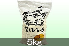 【農家応援】JA松本ハイランド コシヒカリ 5kg(令和3年度産)