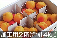 JAȂ() Hp 2(500g×8pbN) 620-710