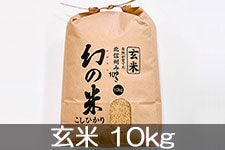 JAȂ(݂䂫) ̕  10kg(ߘa5NY)