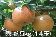 JAÂ L G 5kg(14)