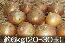 JAÂ ܖY܂˂ 6kg(20-30)