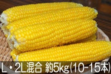 JAÂ ܖYƂ낱S[hbV LE2L 5kg(10-15{) 722ȍ~