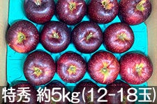 a|_ Hf G 5kg(12-18) 106ȍ~