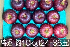 a|_ Hf G 10kg(24-36) 106ȍ~