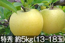 a|_ VimS[h G 5kg(13-18) 111ȍ~