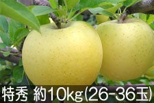 a|_ VimS[h G 10kg(26-36) 1023ȍ~