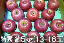 a|_ Tӂ G 5kg(13-18)