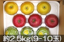 まるいち大場農園 果物セット 約2.5kg(9-10玉)