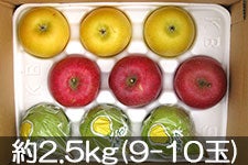 ܂邢_ ʕZbg 2.5kg(9-10)