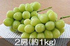 ^}t@[ ①VC}XJbg 2[(1.1kg) 1130ȍ~