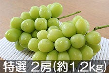 ^}t@[ VC}XJbg I 2[(1.2kg) 91ȍ~