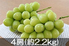 ^}t@[ VC}XJbg 4[(2.2kg) 91ȍ~