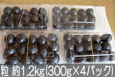 �^�}�t�@�[�� �i�K�m�p�[�v�� �� ��1.2kg(��300g×4�p�b�N)