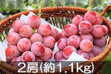 ^}t@[ NC[j[i 2[(1.1kg) 910ȍ~